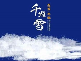 《千堆雪—逐浪·外墩》暨纪念海南自由贸易港五周年 综合艺术作品展隆重开幕