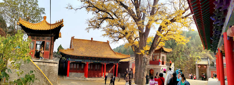 邂逅“淌豆寺”