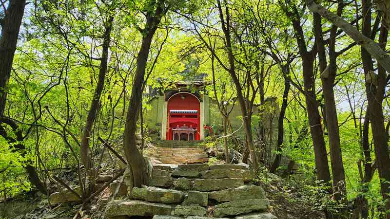 探访“佛峪谷”