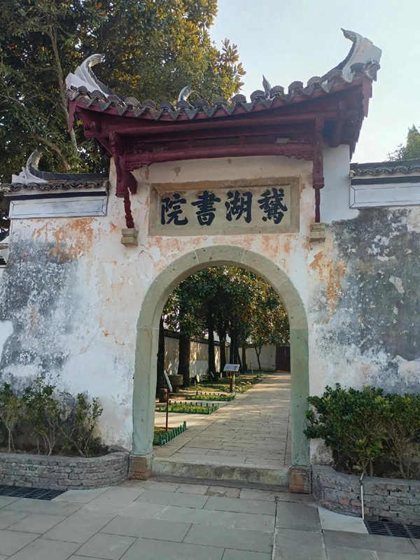 书院文化与历史渊源