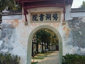 书院文化与历史渊源